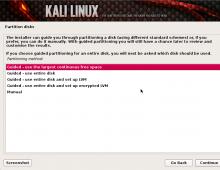 Установка Kali Linux вместе с Windows